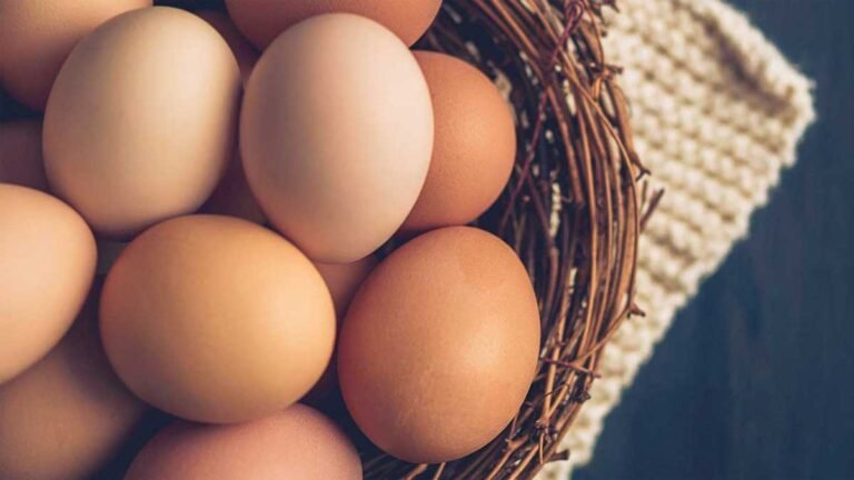 Don’t Put All Your Eggs in One Basket: The Power of Diversification